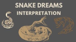 Biblical meaning of snake dreams