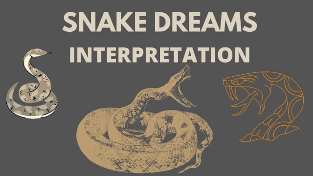 Biblical meaning of snake dreams, Snake dreams interpretation