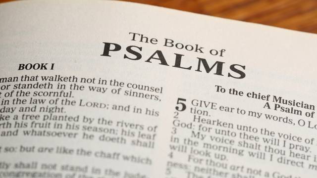 How the book psalms points to Jesus