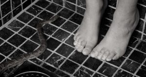 Dreaming of a Snake in Your Bathroom: 14 Biblical Meaning