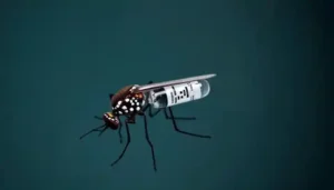 Malaria Vaccine Controversy